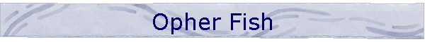 Opher Fish