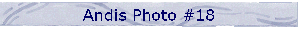 Andis Photo #18