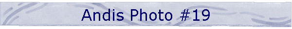 Andis Photo #19